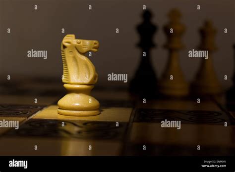 Photographed On A Chess Board Stock Photo Alamy