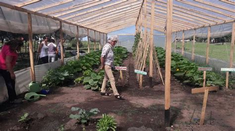 CAPACITACIÓN PARA LA CONSTRUCCIÓN DE UN INVERNÁCULO PARA PRODUCCIÓN