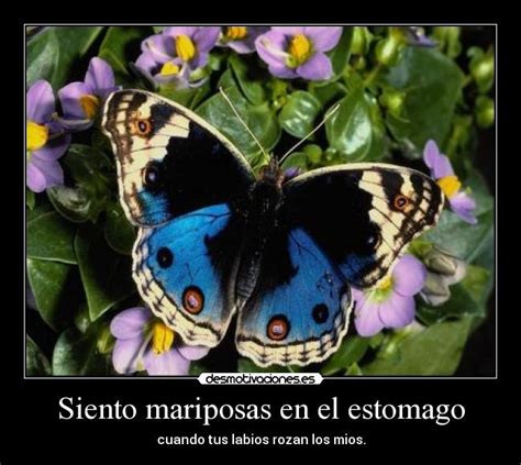 Arriba 91 Foto Imagenes De Mariposas En El Estomago Cena Hermosa