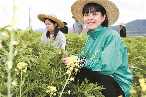 羊城晚报 当好“宣传员”和“实干家”