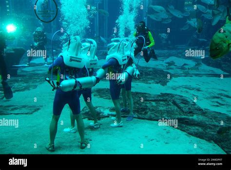 Scuba Divers In The Ambassador Lagoon Of The Lost Chambers Aquarium At