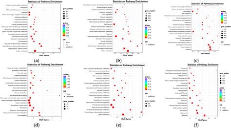 Ijms Free Full Text Combining Transcriptome And Whole Genome Re