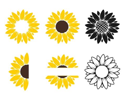 Girasol vector imágenes de stock de arte vectorial Depositphotos