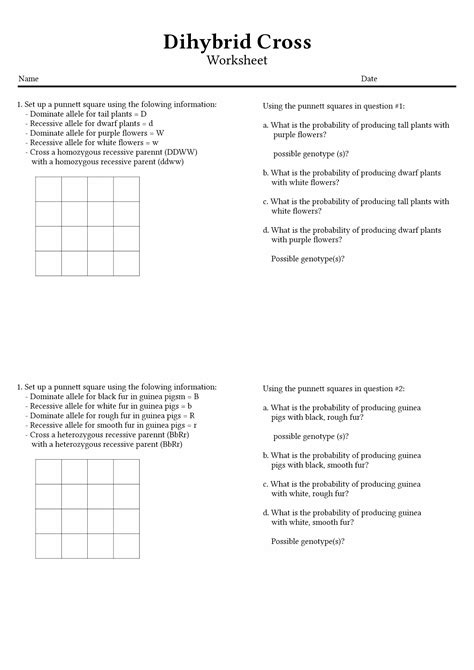 Dihybrid Cross Answer Sheet