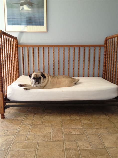 Turn An Old Crib Into A Bed For The Dog Canine Crazy Pinterest