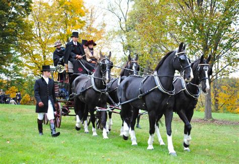 2015 Connecticut Fall Festival Guide Brookfield Ct Patch