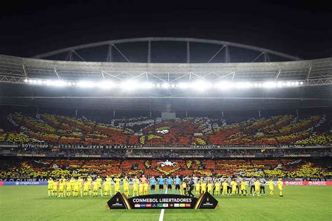 Mosaico Dupla Face Da Torcida Do Botafogo Chama A Aten Ojogada