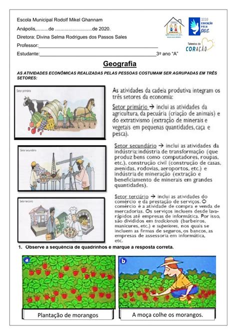 Setores Da Economia Interactive Worksheet Cuadernos Interactivos