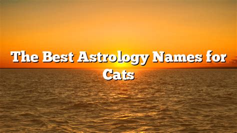 The Best Astrology Names For Cats Alternative Science