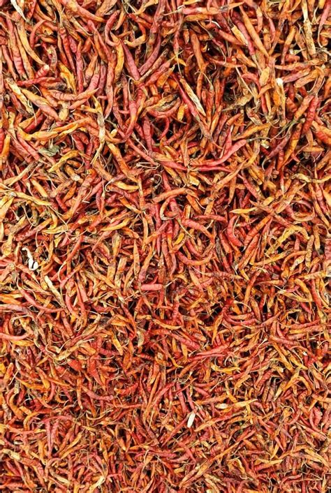 Teja Fatki Red Chilli At Rs 135kg Guntur Id 24254504562