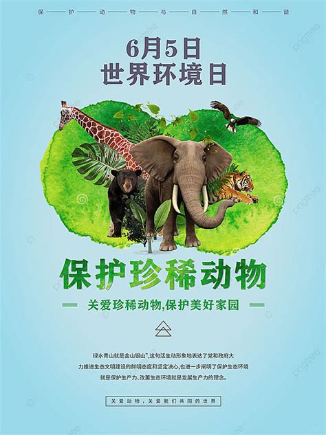 On June 5th World Environment Day Protecting Rare Animals Caring For