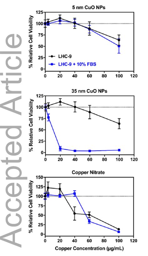 Effects Of Np Size And Dose On Beas B Viability After Hours Of