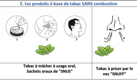 Passé présent et futur du tabac en Belgique que dit la loi