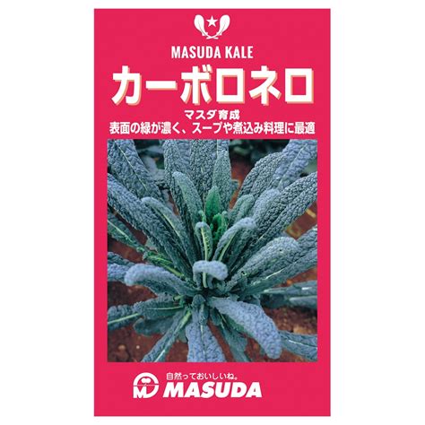 ケール種子 カーボロネロ（黒キャベツ）2000粒 の通販 ホームセンター コメリドットコム
