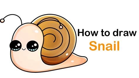 Cute Snail Drawing