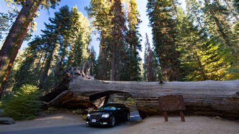 10 Best Things To Do In Sequoia National Park In One Day