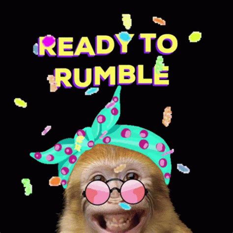 Let S Get Ready To Rumble Monkey Gifdb