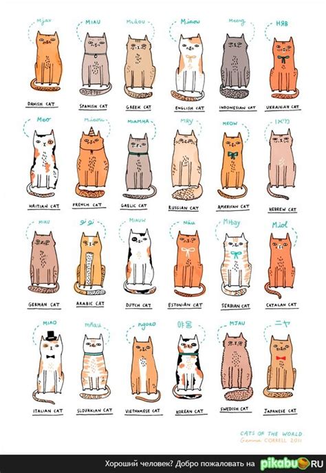 Про котов)))) | Пикабу