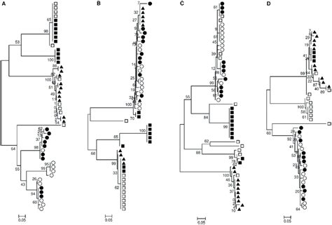 Phylogenetic Trees Of Hvr Regions Of Hcv Sequences Showing The