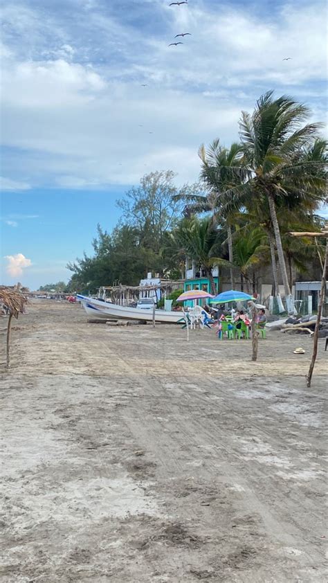 Playa Mata De Uva Veracruz Playa Veracruz Mata