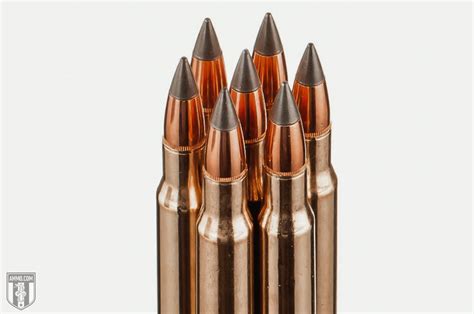 450 Bushmaster Vs 30 06 Hunting Cartridges Comparison By