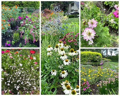 Build A Remarkable Pollinator-Friendly Flower Garden - Garden Moxie