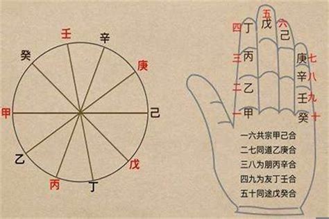 八字中说的坐下是指什么？八字里坐是什么意思 八字 若朴堂文化