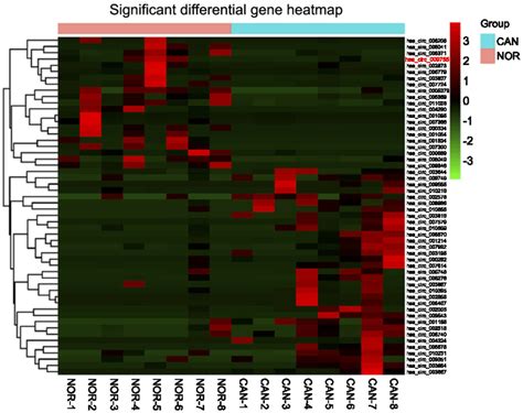 Differentially Expressed Circrnas Between Oscc Tissues And Adjacent