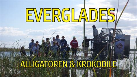 Everglades Alligatoren Und Krokodile Sawgrass National Park YouTube