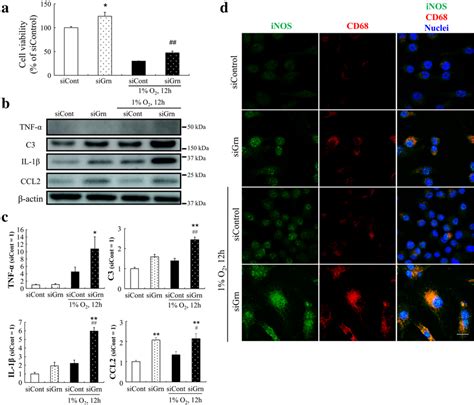 Higher Levels Of Proinflammatory Cytokines In Progranulin Silenced