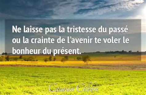 Citation Anonyme bonheur Ne laisse pas la tristesse du passé ou la