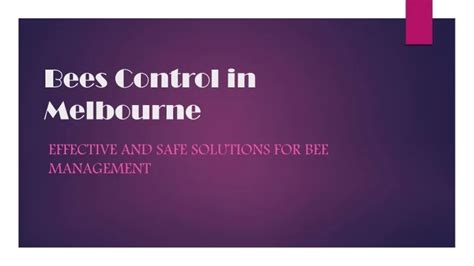 bees control  melbourne  powerpoint