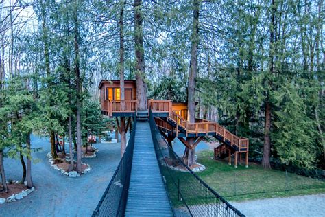 This Luxury Treehouse Is Better Than Most Condos