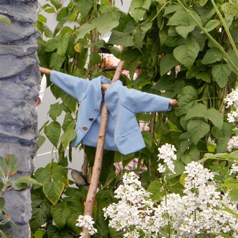 The Peter Rabbit Herb Garden RHS Chelsea Flower Show 2014 Flickr