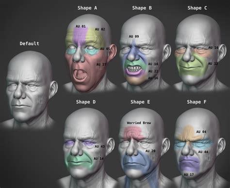 3 Shapes And Wrinkles Realistic Character Workflow Blender Studio