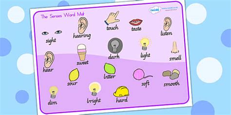 The Senses Word Mat Teacher Made Twinkl