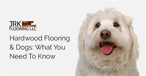 Hardwood Flooring & Dogs: What You Need To Know - Hardwood Floors Kansas City | JRK Flooring