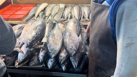 La nueva viga mercado de pescados y mariscos más grande de América