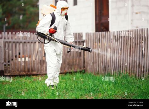 Hygiene Pests Hi Res Stock Photography And Images Alamy