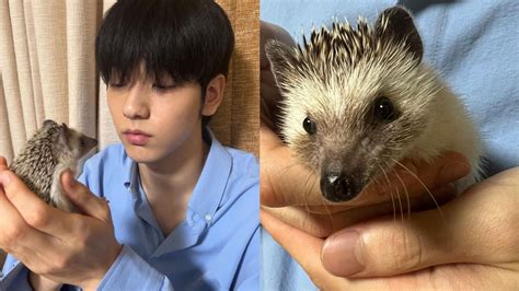 “My heart is broken” - Fans pour in love as TXT’s Soobin reveals pet ...