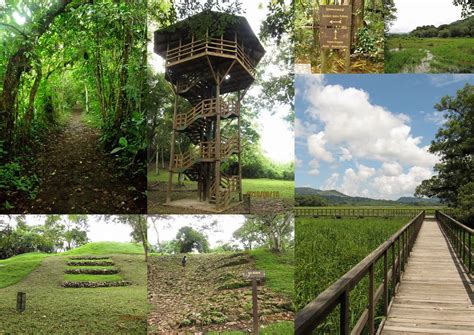 Visita Y Disfruta Parque Eco Arqueol Gico Los Naranjos