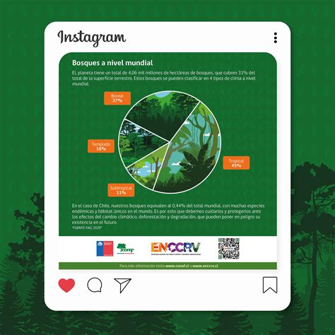 Infograf As Los Bosques A Nivel Internacional Conaf Behance