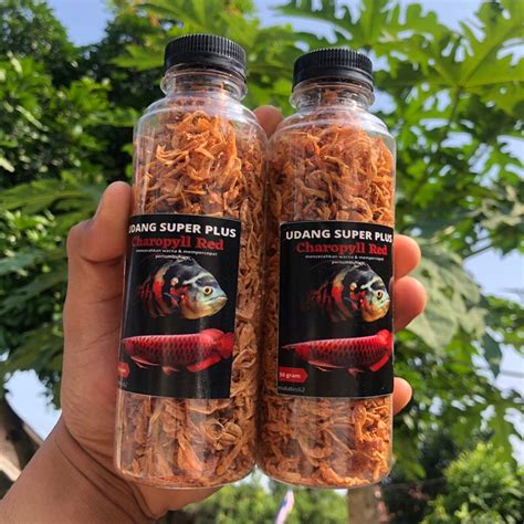 Jual Udang Super Red Pakan Ikan Shopee Indonesia