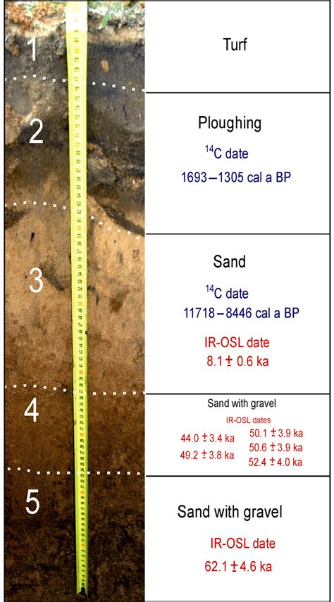 Undisturbed cross section of the sediment layers at the Ryadino... | Download Scientific Diagram