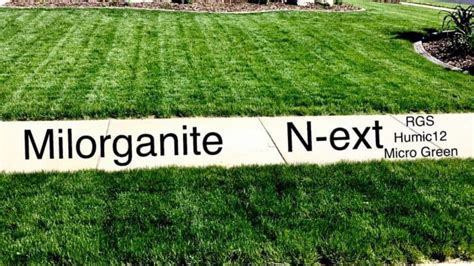 What Is Milorganite When To Apply It