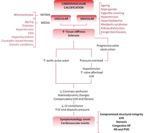 Differential Pathology And Clinical Impact Of Valvular Vs Vascular