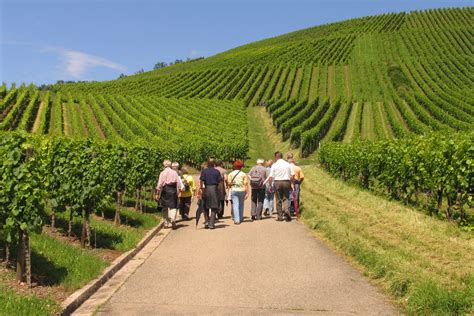 Ein Tag Voller Sinnesfreuden Wein Wandern Und Genuss