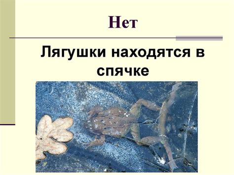 Игра "Верите ли Вы" - презентация онлайн