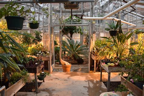 Greenhouse Continues To Open Its Doors To The Public — The Bark