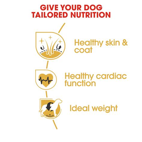 Royal Canin Golden Retriever Adult Dry Dog Food 36kg - $356.99